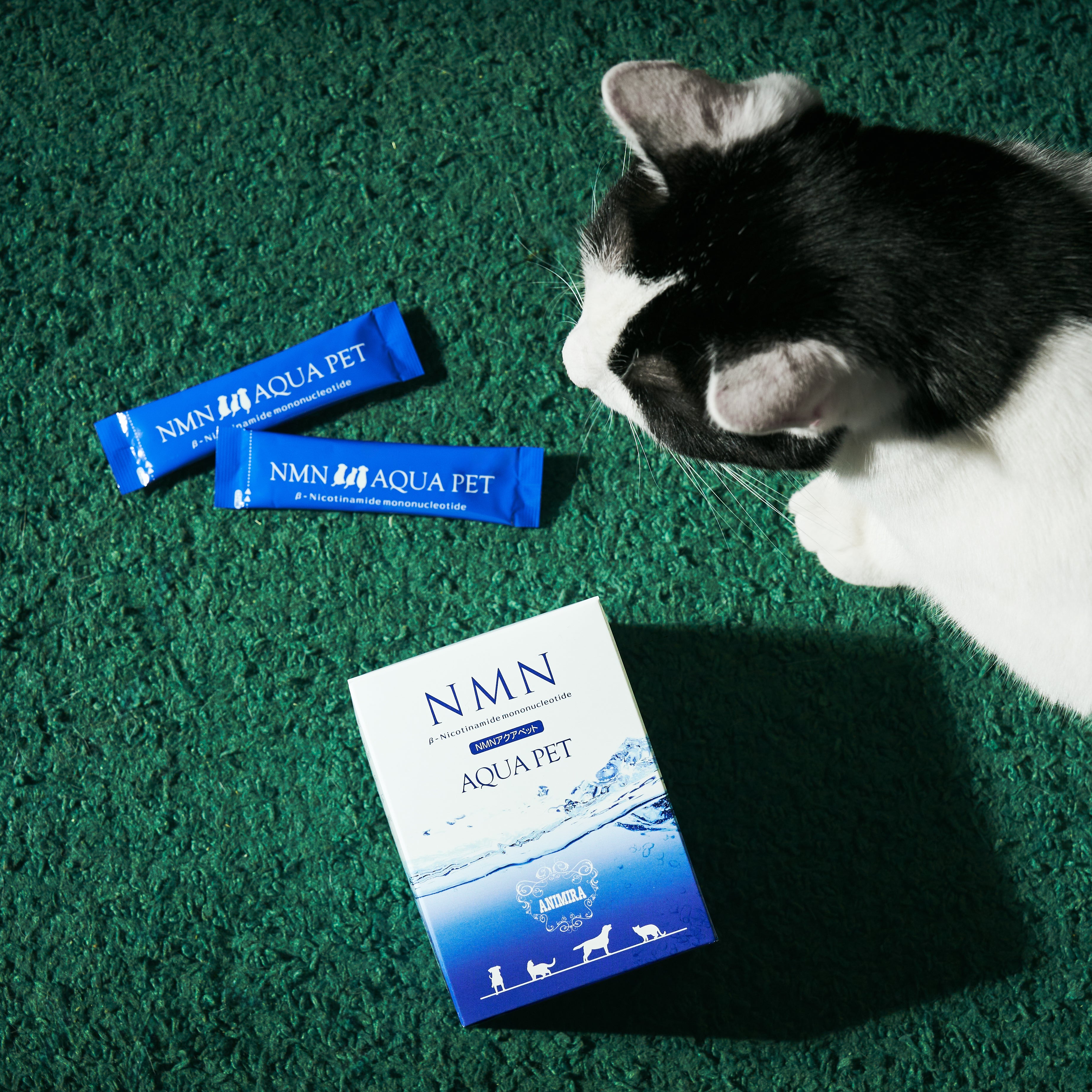 NMN アクアペット (ペット用)