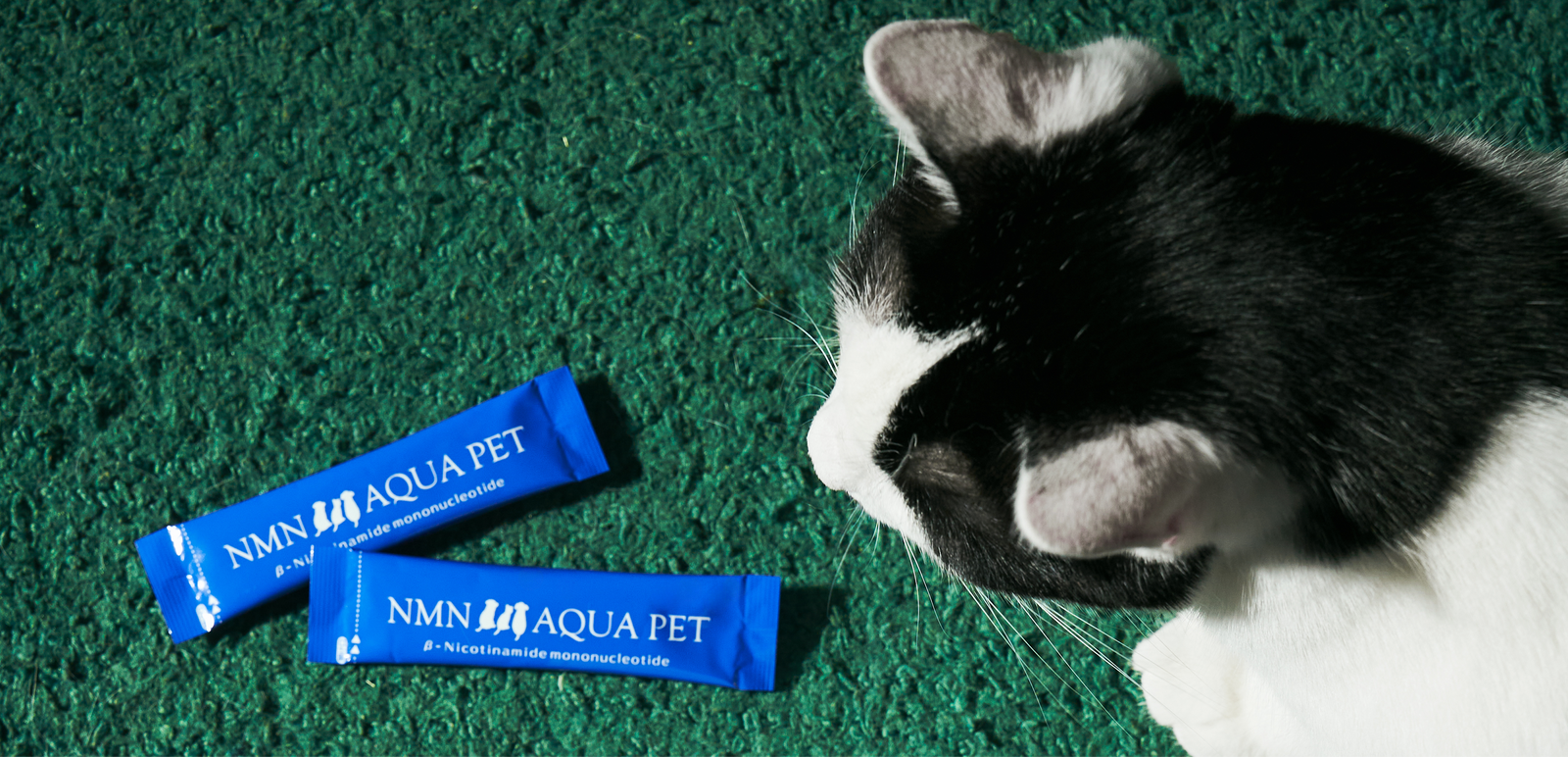公式】ミライラボオンラインショップ|NMNサプリなど優れた品質のNMNで 公式】ミライラボオンラインショップ|NMNサプリなど優れた品質のNMNで