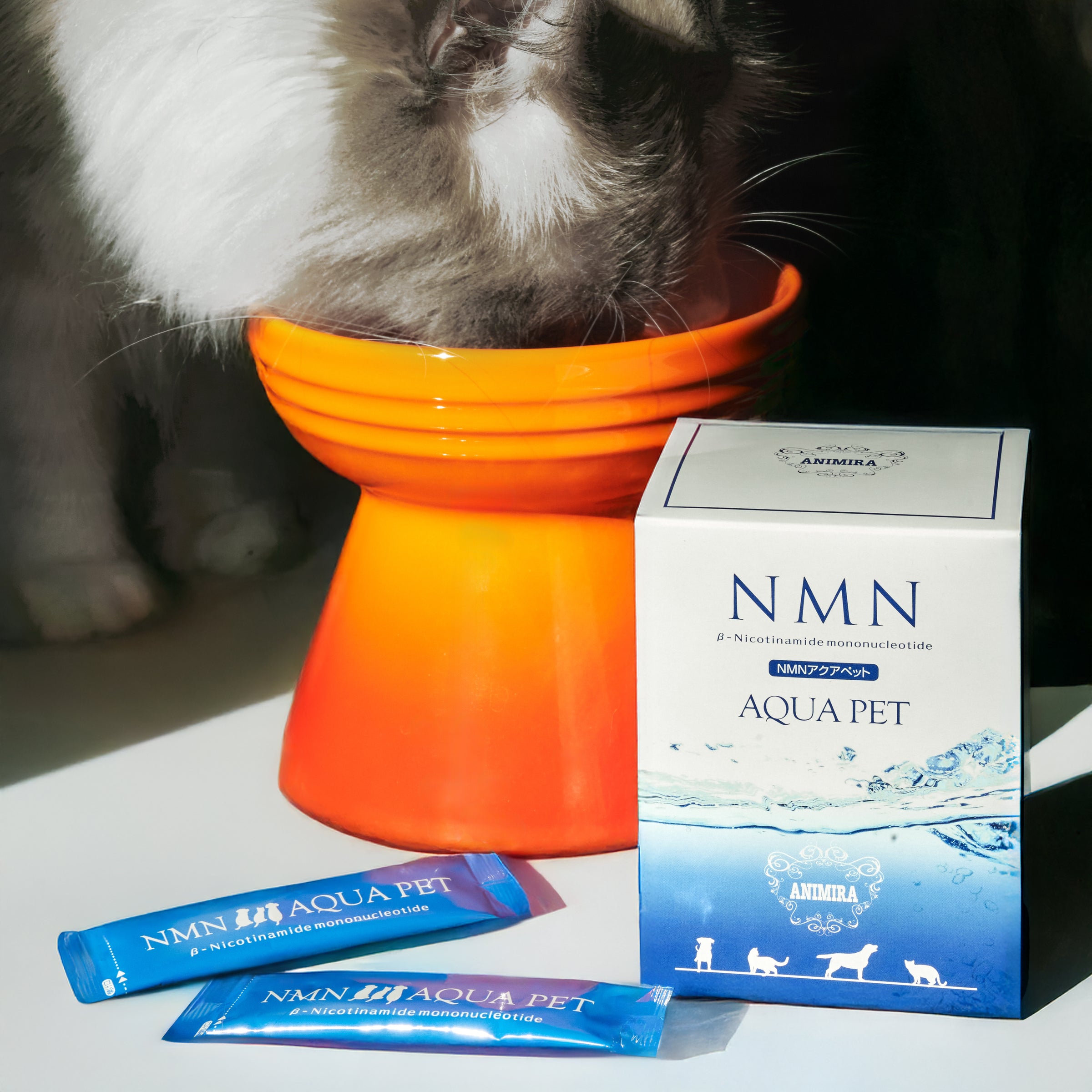 0907_41_2400x.jpg?v=1758194893