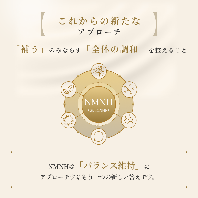 NMNH LX（30包）
