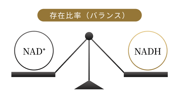 バランス視点に着目